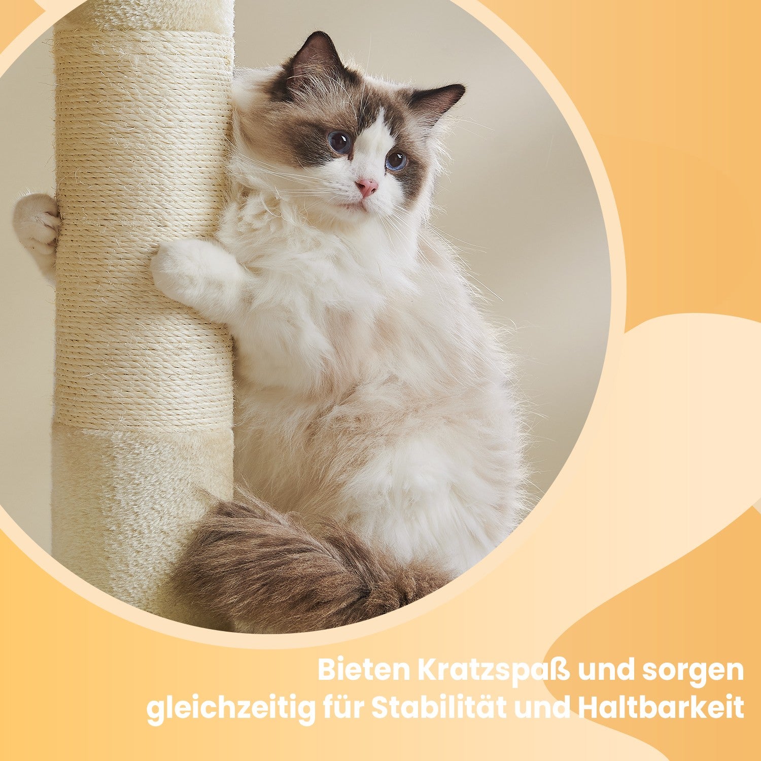 101 cm hohe Kratzerkrabbenkrabbenpol Große Plattform
