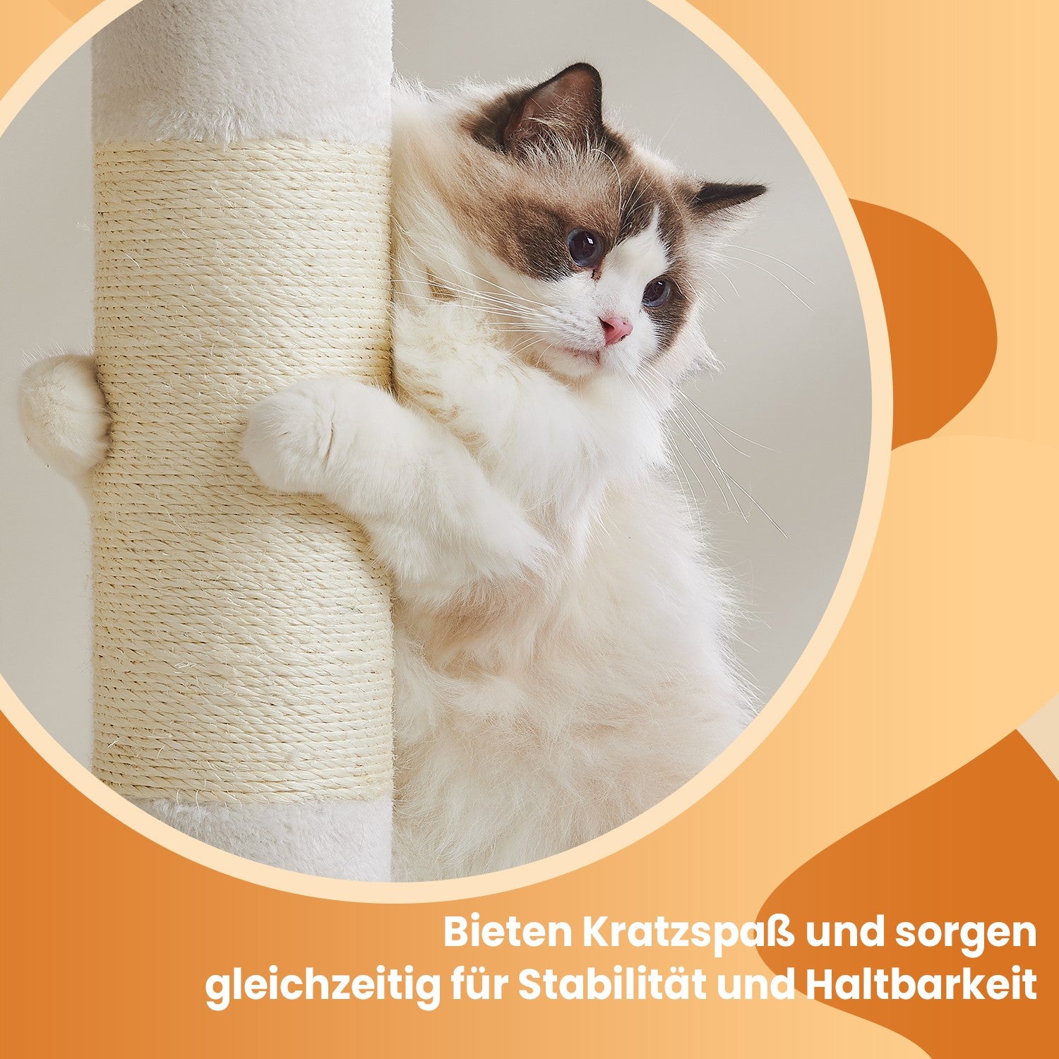 101 cm hohe Kratzerkrabbenkrabbenpol Große Plattform
