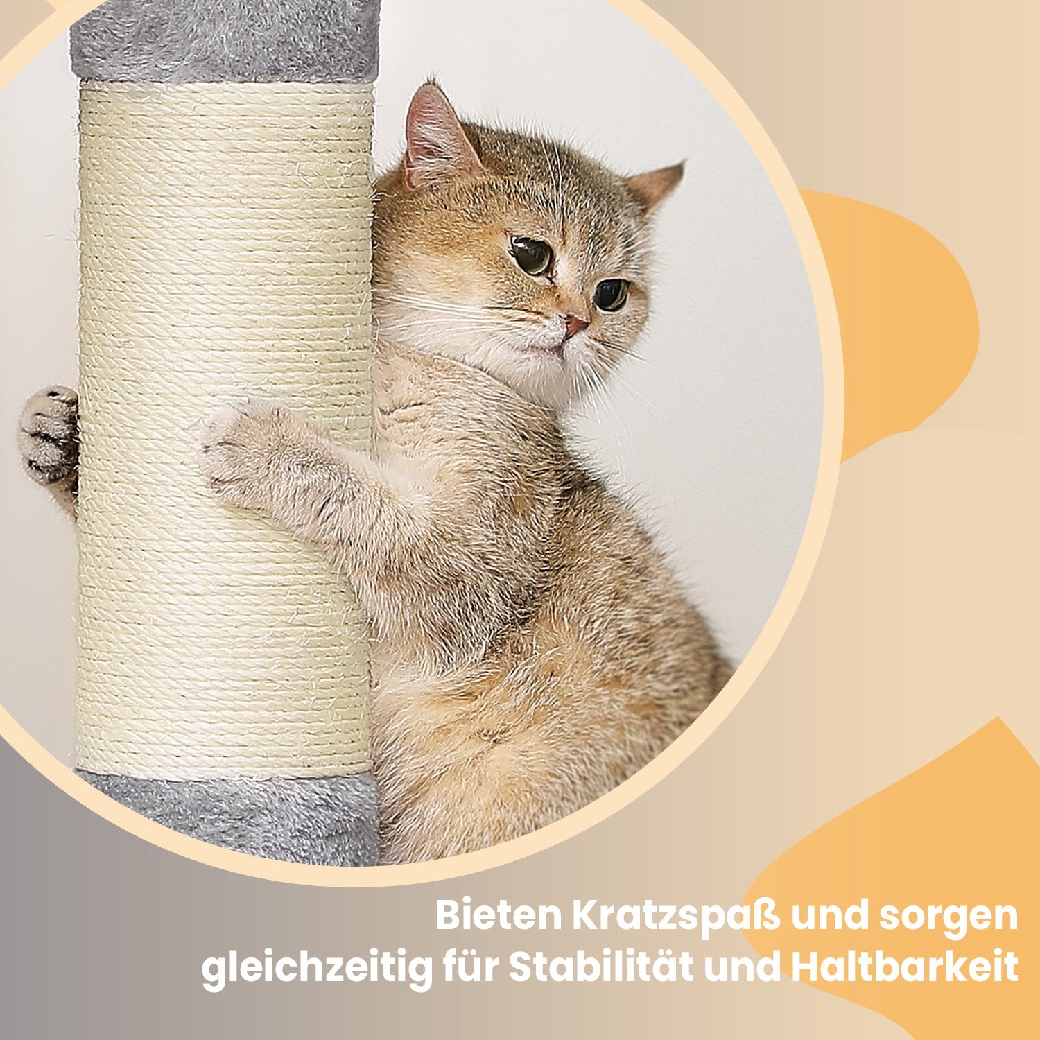 101 cm hohe Kratzerkrabbenkrabbenpol Große Plattform
